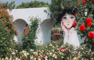“花卉+”激活发展新引擎 解锁无锡这里“花粉经济”生态圈密码