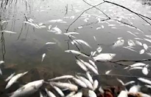 网民反映新化油溪河污染等问题，湖南娄底生态环境局通报