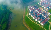 30余万亩林海变身记