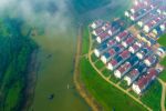 30余万亩林海变身记