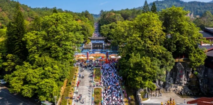 冲刺万亿元！广东林业产业开启发展加速度