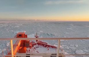 涉及海冰研究、海洋生物等 我国南极科考有了新发现