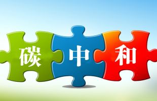 面向“十五五”，要更加把握好“双碳”进程中发展与安全的关系
