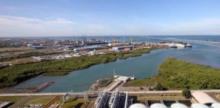 从滩涂到绿洲：印尼爪哇7号项目红树林新生记