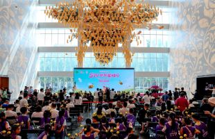“蜂”景如画！小蜜蜂带动我国农林产品增收超3000亿元