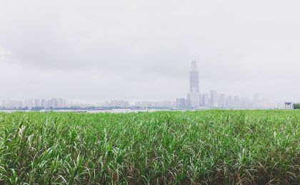 武汉首次发布“城市暴雨临灾警报”