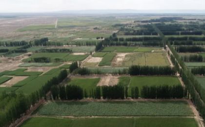 从荒漠到绿洲，中国治沙人用 45 年铸就生态奇迹