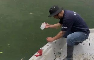 张家界一溶洞被排污，“主要为生活垃圾和畜禽粪水”，官方回应