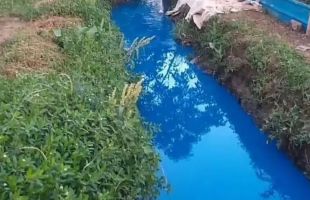 湖南一沟渠水体是鲜艳蓝色，当地：初查系罐车偷排，已控制责任人