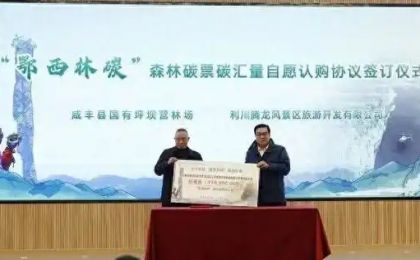 全国首个“碳汇超市”在恩施上线