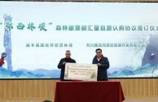 全国首个“碳汇超市”在恩施上线