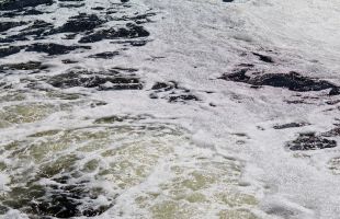 上高县徐家渡镇一牛蛙养殖场污水直排锦江河 污染水源
