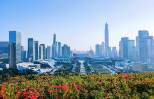 溢价率105% 深圳首单渔业碳汇拍卖以164元/吨成交