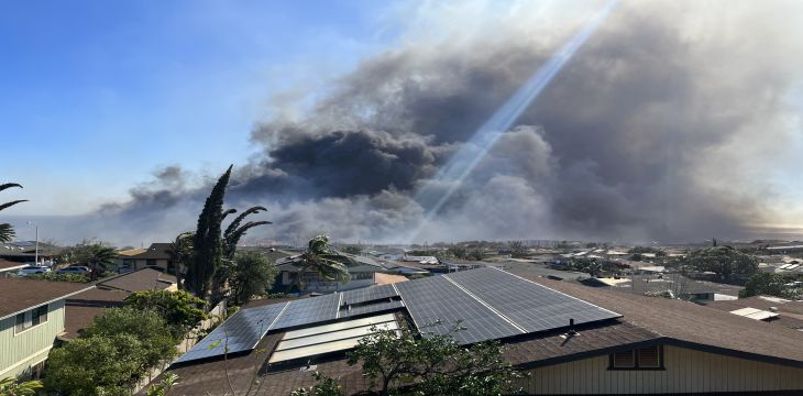 美国夏威夷：清理前年野火垃圾需50辆卡车运5个月