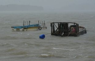 今年第1号台风“蝴蝶”生成 国家防总、水利部启动应急响应