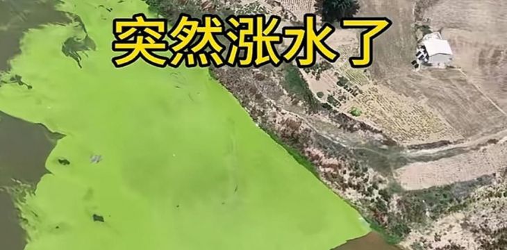 河南南阳涧河部分河段被污染，现场正在抽水清淤，多部门回应