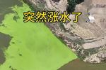 河南南阳涧河部分河段被污染，现场正在抽水清淤，多部门回应？