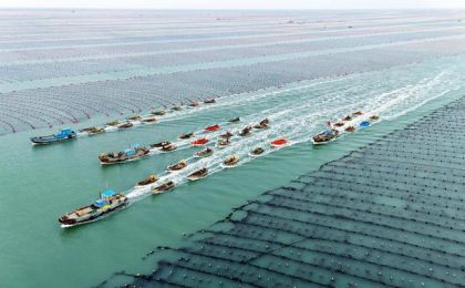 海洋经济已破10万亿，哪些城市和产业将受益？