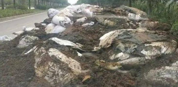 涉重金属排放超标、非法倾倒处置危废！四川通报3起典型案例