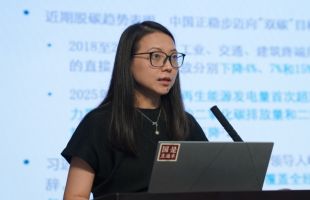 能源基金会战略规划主任：中国碳中和2025-2060年需投19.5万亿至36.2万亿美元