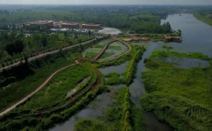 守护湿地生态密码 织就和谐共生画卷