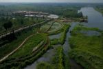 守护湿地生态密码 织就和谐共生画卷