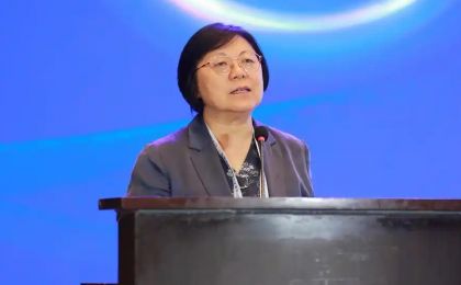 碳市场≠金融游戏！教育部长江学者特聘教授范英：三招破解“双碳”技术沉没成本困局
