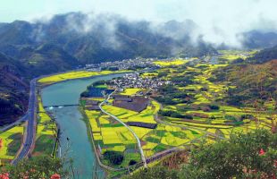 《安徽省生态环境厅关于环境监测活动中弄虚作假或者篡改、伪造监测数据情节严重判定标准的意见》解读