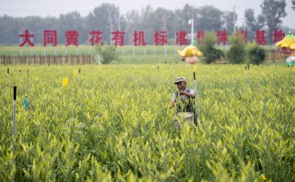 习近平总书记和山西的故事
