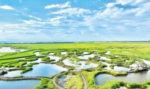 以林长制为抓手 绘就湿地大美画卷