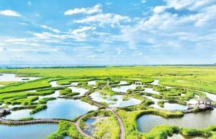 以林长制为抓手 绘就湿地大美画卷