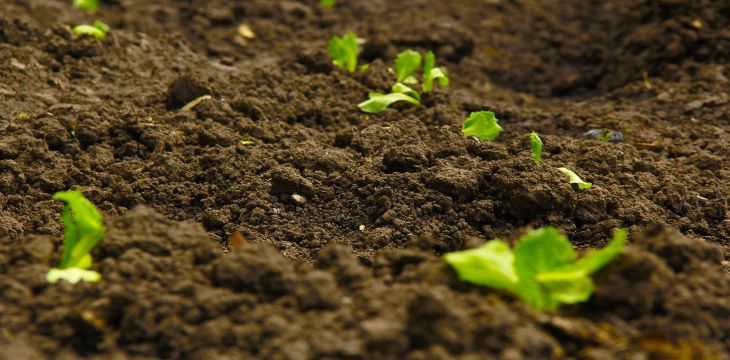 地层“气候日记”揭示5600万年前地球如何变暖