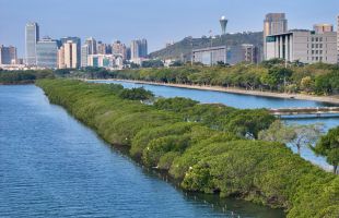 生态环境部发布《关于严格规范生态环境行政检查 大力提升执法质效的通知》