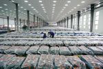 2024年我国再生资源回收总量超4亿吨