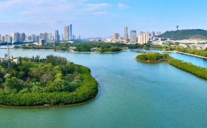 以习近平同志为核心的党中央引领城市工作纪实