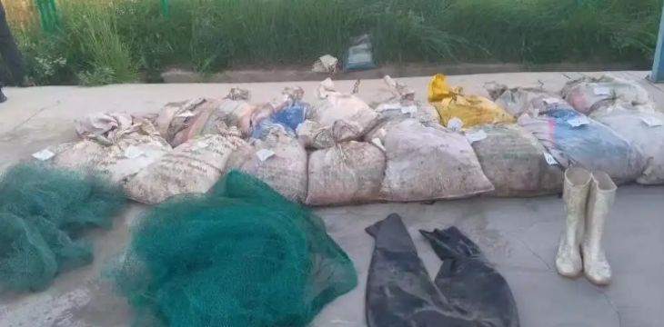 非法捕捞国家二级保护动物青海湖裸鲤700余公斤，警方深夜行动7人被刑拘