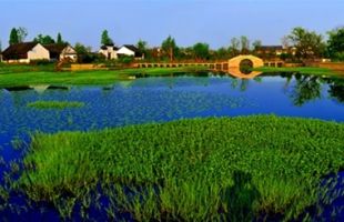 保护大美湿地 共享生态福祉