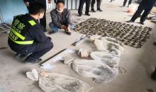 17人猎杀买卖禾花雀获刑：“极危动物”仅5元一只收购，催肥后20多元卖出