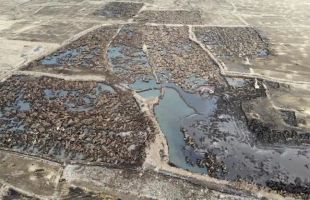 破坏耕地，非法采矿，毁林毁草——两部门通报违法违规典型问题