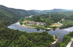 “安徽茶”探索讲好新故事