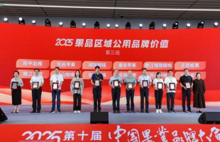 品牌价值达47.49亿元 资中血橙产业发展势头强劲