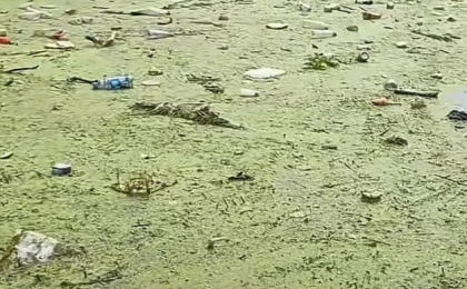 网友反映乌江开阳段成“垃圾江”，水务部门：已去航道检查