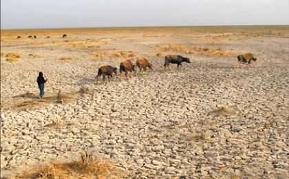 报告显示全球40%地区面临干旱问题，每年经济损失高达3070亿美元