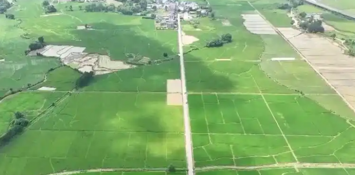 我国国土空间格局持续优化 生态系统保护修复成效显著