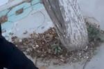 银川一国家级城市湿地公园被指“水泥封树坑”，当地自然资源局回应？