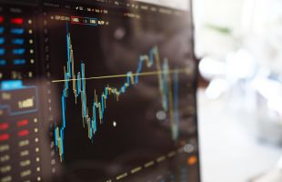 新能源赛道龙头股狂飙，这些绩优低估值股受机构青睐