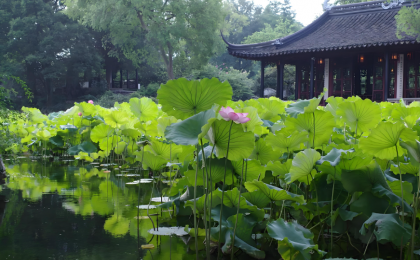 亭轩台榭  园林风景中的意蕴与巧思