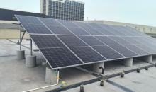 中企参建全球最大光储一体化项目开工