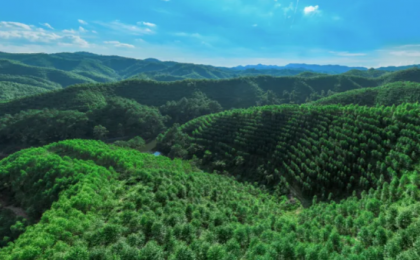 森林碳汇调查赛项彰显绿色担当