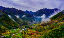 湖北秦岭地区跨区域生态保护修复协作成效明显